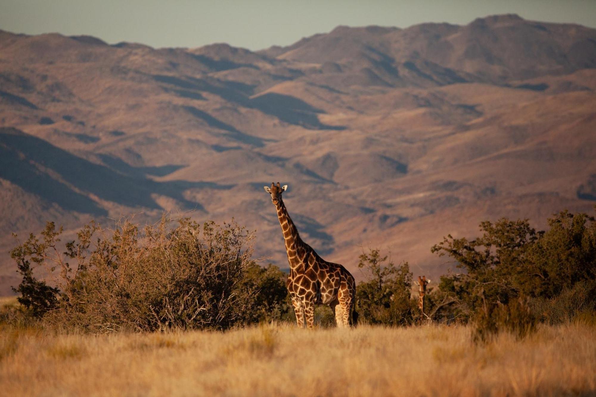 Sandfontein Lodge & Nature Reserve Exterior foto