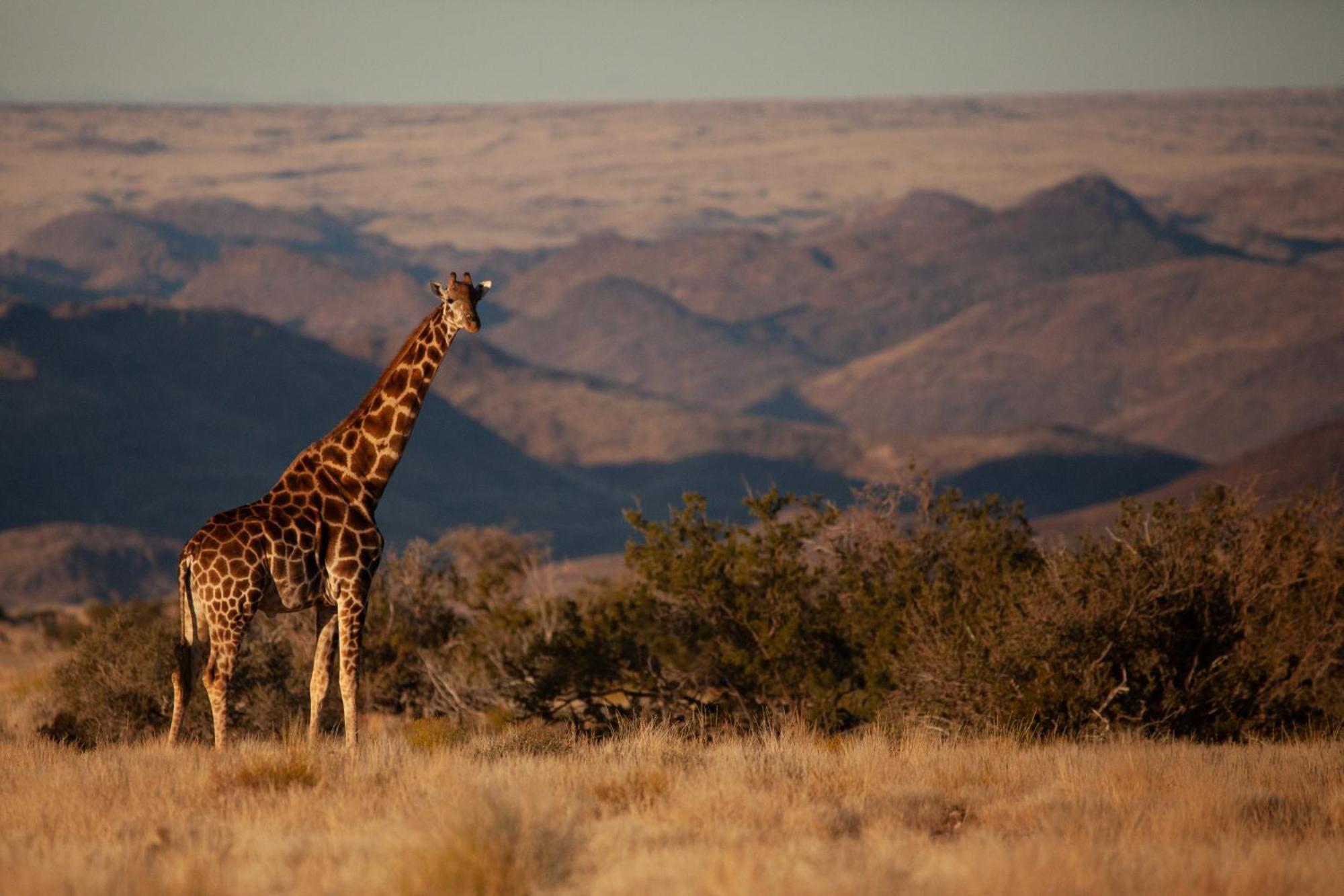 Sandfontein Lodge & Nature Reserve Exterior foto
