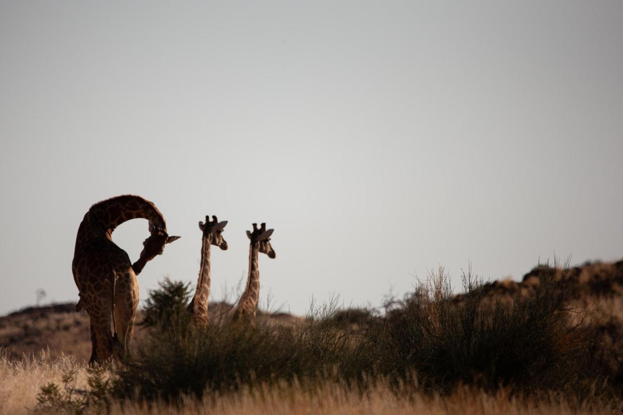 Sandfontein Lodge & Nature Reserve Exterior foto